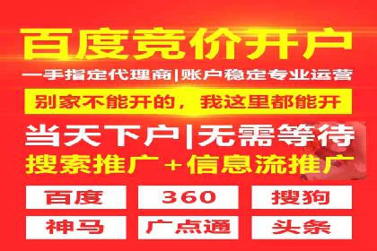 谷歌竞价案例：跨境电商广告投放策略